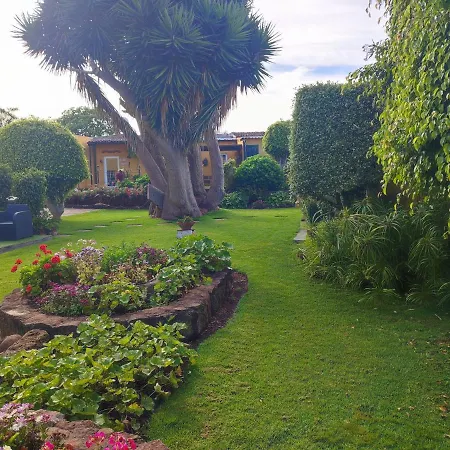 El Trazo * טקורונטה