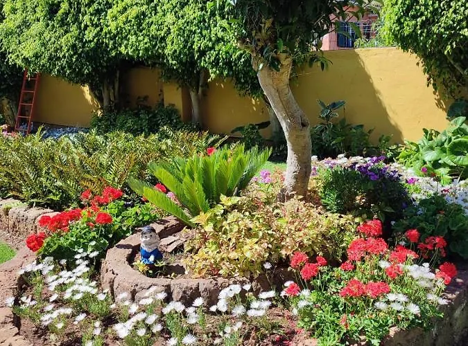 El Trazo Prázdninový dům Tacoronte