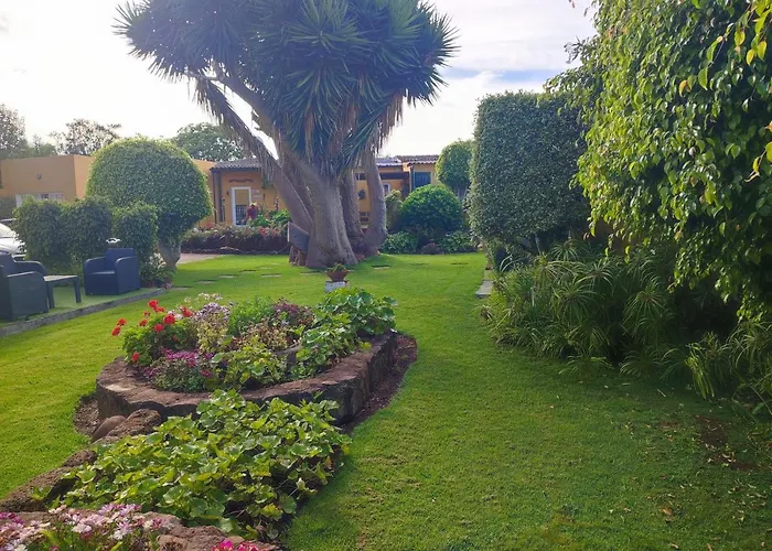 El Trazo * טקורונטה