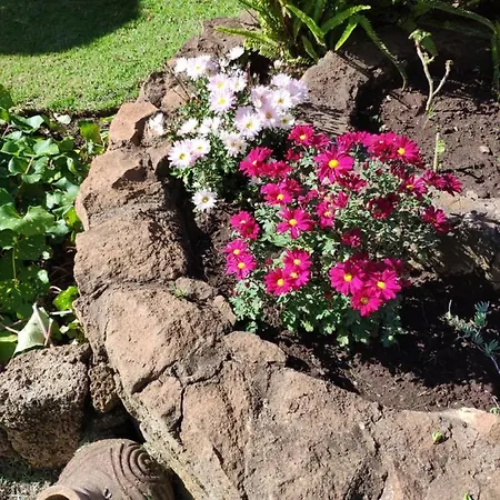 Finca El Trazo Tacoronte