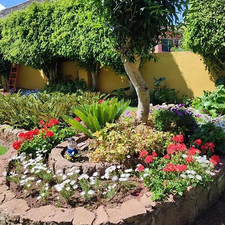 El Trazo Holiday home Tacoronte
