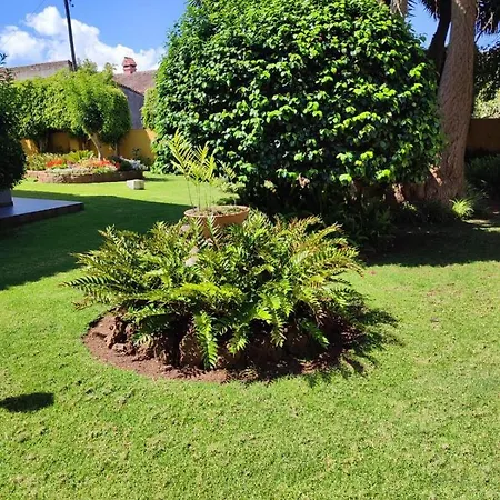 Tatil Evi Finca El Trazo Tacoronte