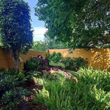 Finca El Trazo * Tacoronte