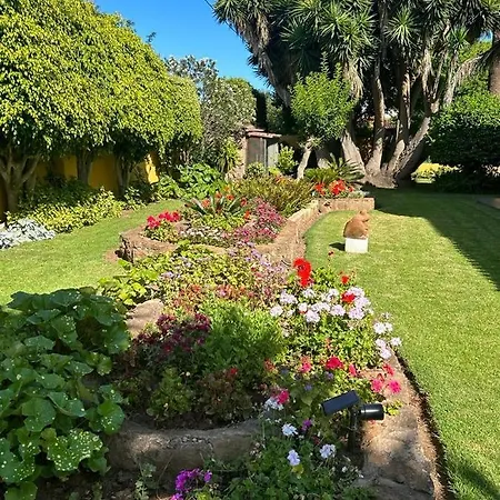 Finca El Trazo Tatil Evi *