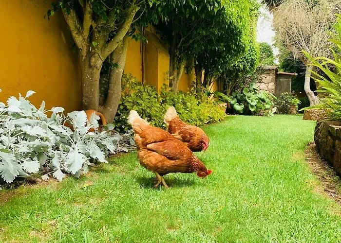 Finca El Trazo Tacoronte