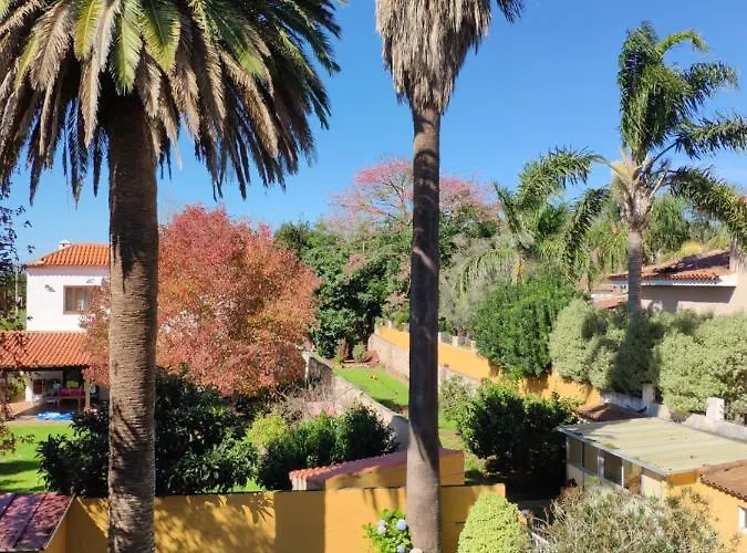 Feriehus Finca El Trazo