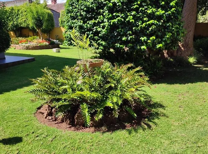 Semesterbostad El Trazo Tacoronte