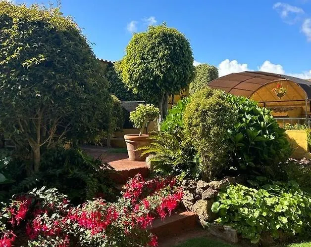 Finca El Trazo Feriehus Tacoronte