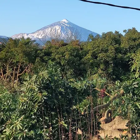 El Trazo Nyaraló Tacoronte