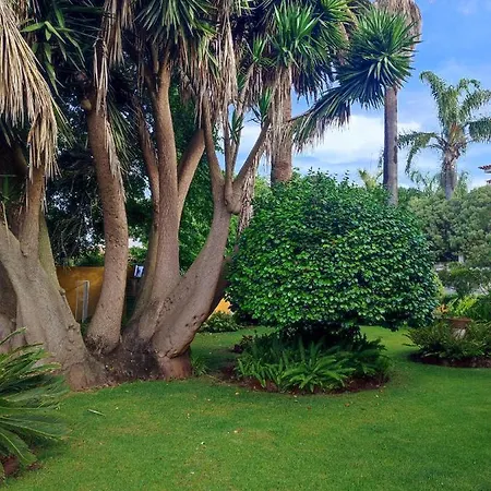 Finca El Trazo *