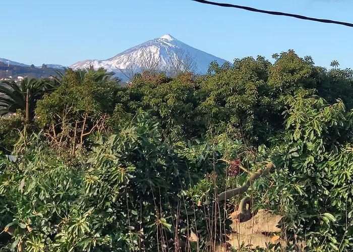El Trazo Nyaraló Tacoronte